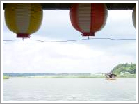 屋形船から見た西印旛沼